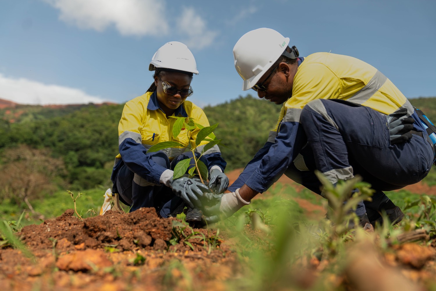 Deux collaborateurs de SimFer plantent un jeune arbre lors de la Journée mondiale de l'environnement
